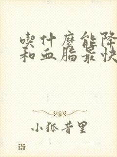 吃什么能降血压和血脂最快封面
