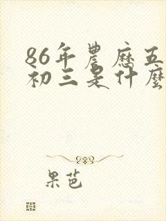 86年农历五月初三是什么命