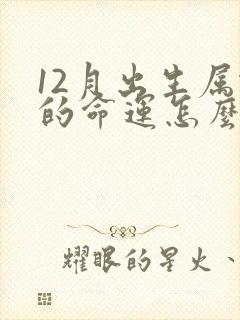 12月出生属蛇的命运怎么样