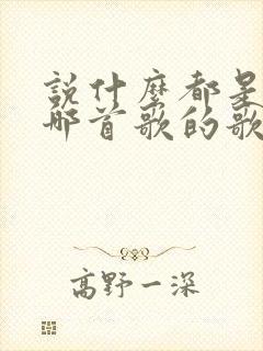 说什么都是错是哪首歌的歌词