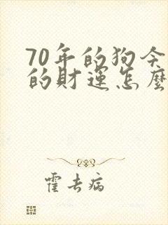 70年的狗今年的财运怎么样