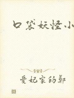 口袋妖怪小说封面