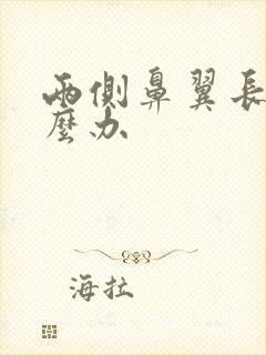 两侧鼻翼长痘怎么办
