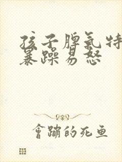 孩子脾气特别大暴躁易怒