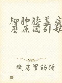 脚肿膝盖痛是什么原因引起的封面