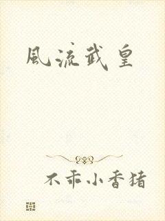 风流武皇封面