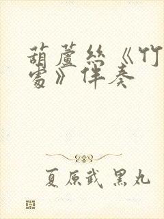 葫芦丝《竹林深处》伴奏