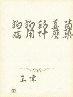 狗狗的真菌皮肤病用什么药膏