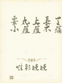 睾丸上长了一个小痘痘不痛不痒封面