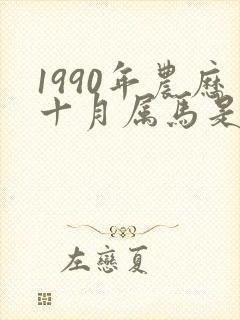 1990年农历十月属马是什么命封面