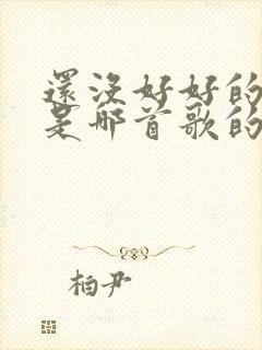 还没好好的感受是哪首歌的歌词