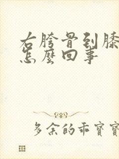 右胯骨到膝盖疼怎么回事封面