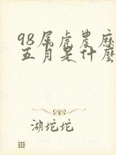 98属虎农历闰五月是什么命封面