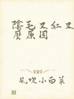 阴毛又红又痒什么原因