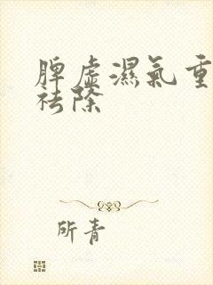 脾虚湿气重怎样祛除封面