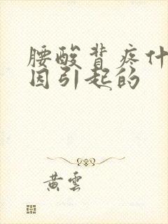 腰酸背疼什么原因引起的