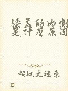 膝盖的内侧疼痛是什么原因封面