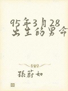 95年3月28出生的男命运