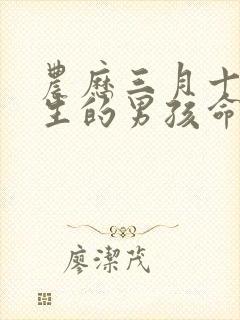 农历三月十三出生的男孩命运如何