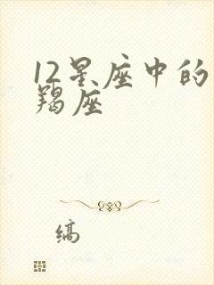 12星座中的摩羯座