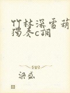 竹林深处葫芦丝独奏c调