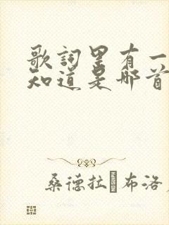 歌词里有一句不知道是哪首歌