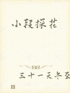 小段探花