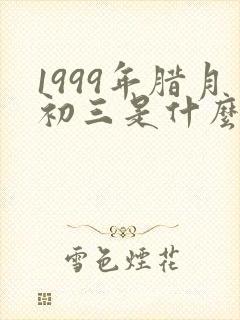 1999年腊月初三是什么命