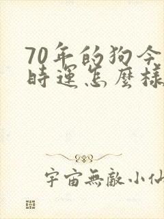 70年的狗今年时运怎么样