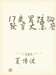 17岁男孩胸部发育大怎么回事