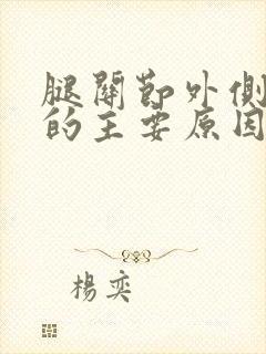 腿关节外侧疼痛的主要原因