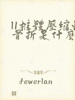 l1椎体压缩性骨折是什么意思