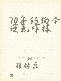 70年的狗今年运气咋样