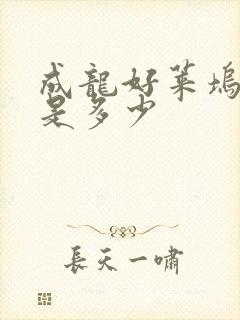 成龙好莱坞片酬是多少