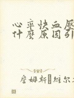 心率快血压高是什么原因引起的封面