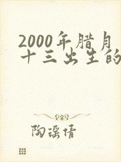 2000年腊月十三出生的人命运