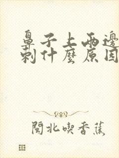 鼻子上两边起粉刺什么原因