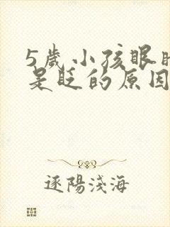 5岁小孩眼睛总是眨的原因