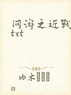 网游之近战法师txt封面