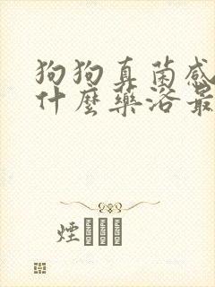 狗狗真菌感染泡什么药浴最好