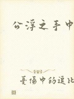 公浮之手中字5