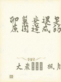 卵巢衰退是什么原因造成的