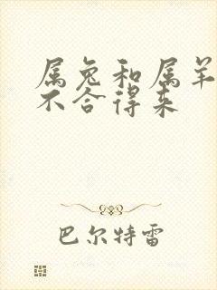 属兔和属羊的合不合得来封面