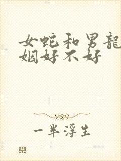 女蛇和男龙配婚姻好不好封面