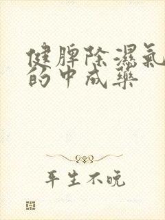 健脾除湿气最好的中成药