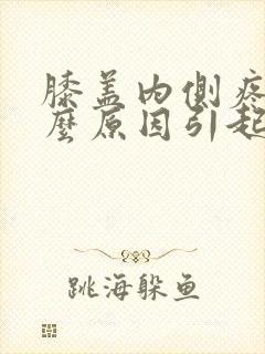 膝盖内侧疼痛什么原因引起的