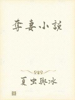 夺妻小说