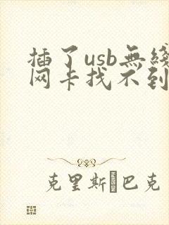 插了usb无线网卡找不到网络