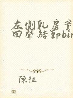 左侧乳房实性低回声结节birads3
