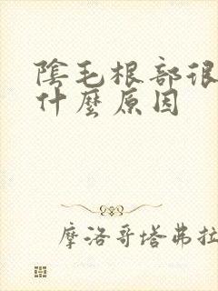 阴毛根部很痒是什么原因封面